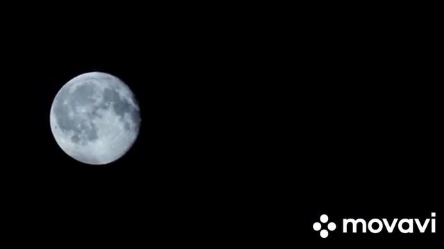 Гиппиус смотреть онлайн