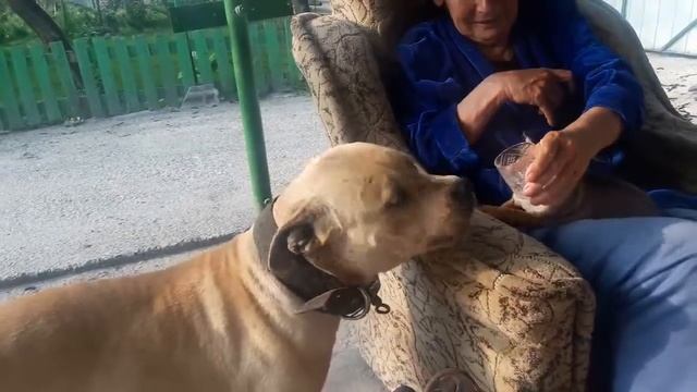 Тюлька алкаш. смотреть онлайн