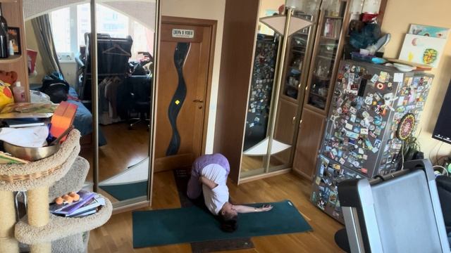 Интенсивная практика из серии Здоровый позвоночник: скрутки, балансы, перевернутые асаны, вытяжения