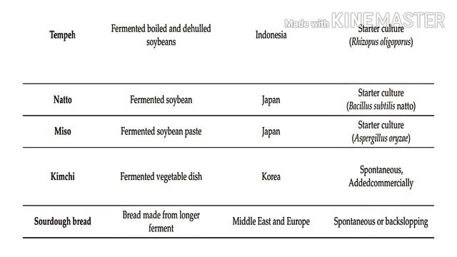 FERMENTED FOODS смотреть онлайн