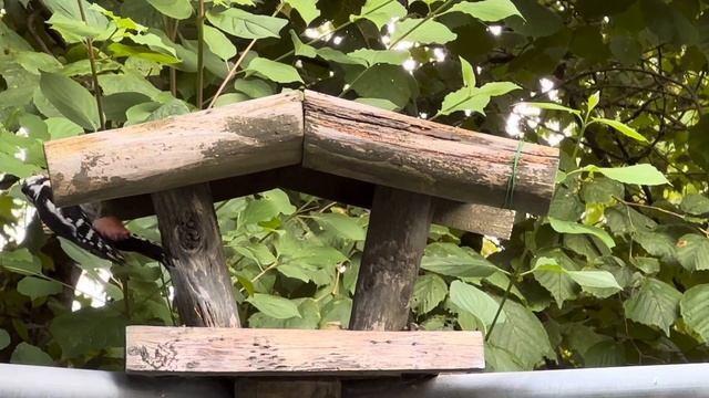 31 август 2023 г. смотреть онлайн