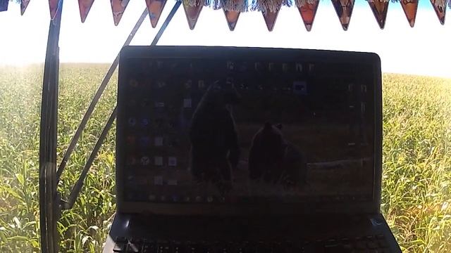 Ответ на вопросы о видео. смотреть онлайн