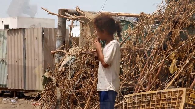 Food basket distribution Mocha, Yemen. смотреть онлайн