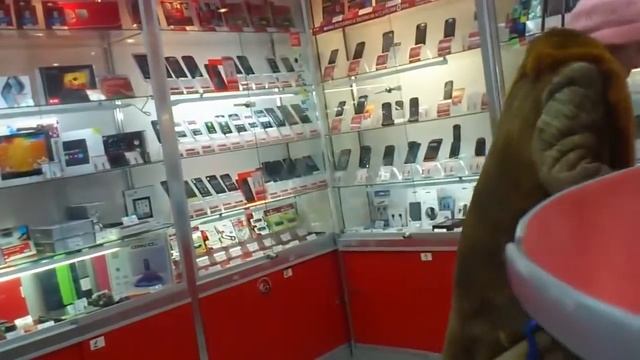 Бабка в салоне матом ругается! смотреть онлайн