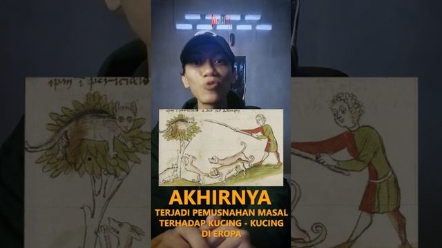 BLACK DEATH Wabah Kematian Terbesar Akibat Tikus | DARKOZERO | Project Six #shorts #blackdeath смотреть онлайн