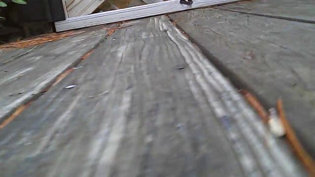 Syma X5C quad copter test flight / first flight смотреть онлайн