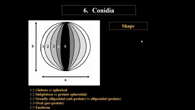 Aspergillus identification part 2 смотреть онлайн