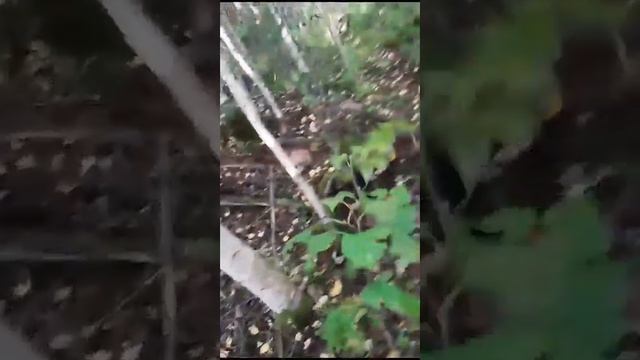 5 октября 2023 г. смотреть онлайн