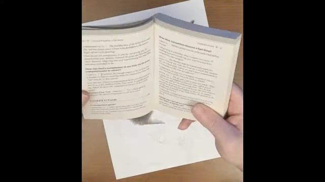 Sadie furrever memories смотреть онлайн