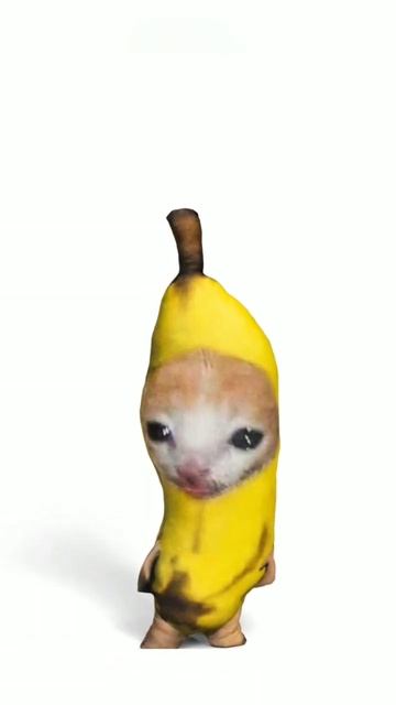 Это что за черт? #черт #bananacat #мемы #бананакэт #мягкиеигрушки #кириллплюш смотреть онлайн