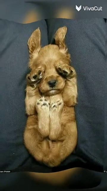 Не грусти ты - солнышко🥺 смотреть онлайн