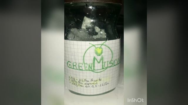 Bioinsumo Green Muscle - Metarhizium Flavoviride