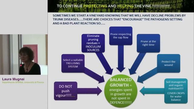 Strumenti e approcci per il controllo delle malattie del legno nei vigneti - Laura Mugnai смотреть онлайн