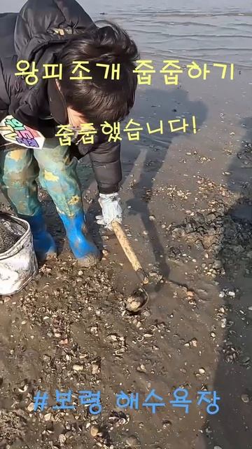 대왕 피조개 줍줍하기! 큰 조개는 언제나 설렌다 смотреть онлайн