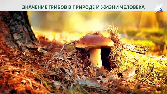 2 марта 2023 г. смотреть онлайн