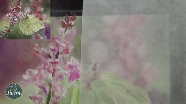 Pan Pastels + Colored Pencil - 10 Tips смотреть онлайн