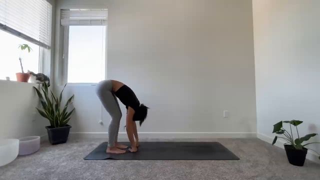 Chill Evening Yoga   Meditation _ Wind Down Relaxing Stretch