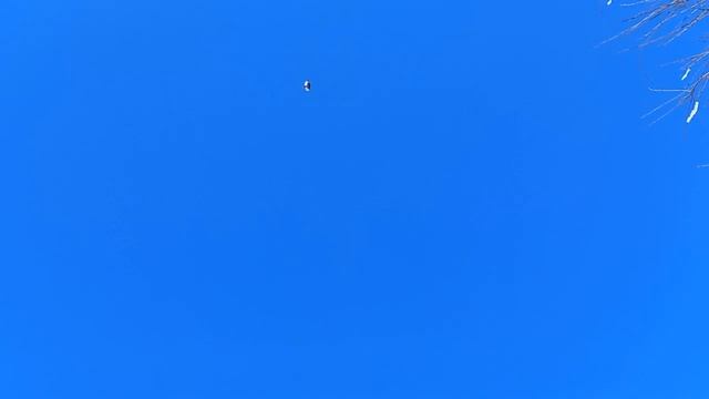 ТЁПЛЫЙ АЛЕКСЕЙ. ЗИМА НЕ СДАЁТСЯ. смотреть онлайн