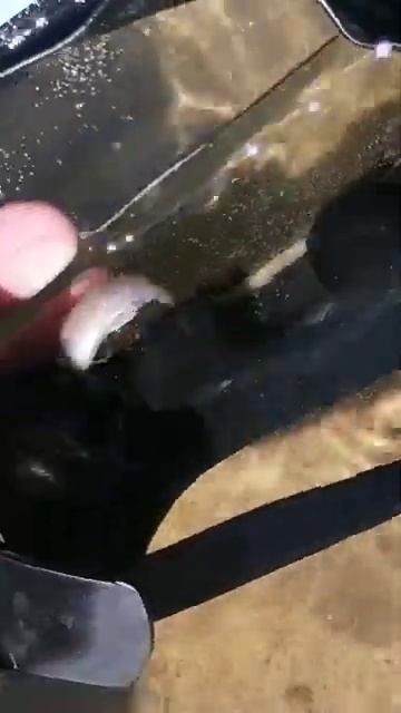 Поймали рыбу "Минога", водится в водном песке, потом отпустили :) смотреть онлайн