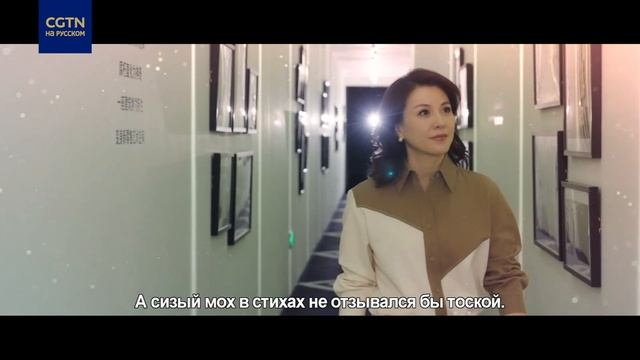Третий сезон серии фильмов «Поэзия нас связала»