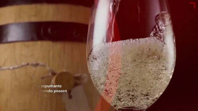 LALLEMAND PLANT CARE ES смотреть онлайн