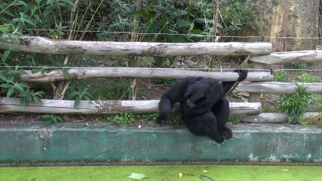 Путешествие: Европа 2016. смотреть онлайн