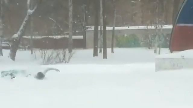 Кировчане устроили "снежный" заплыв в городском парке смотреть онлайн