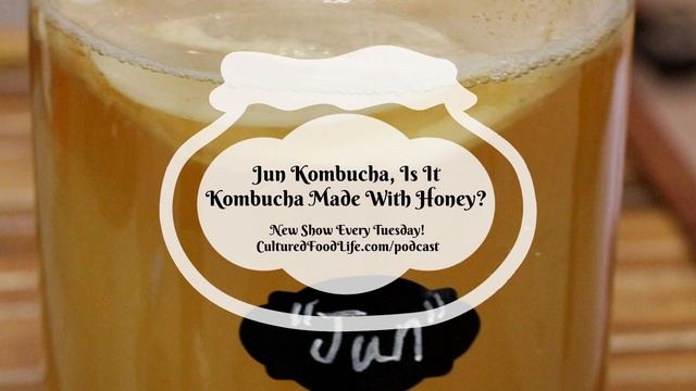 Podcast Episode 150: Jun Kombucha, Is It Kombucha Made With Honey?
