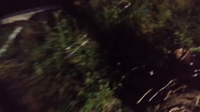 AnonimusMarshmallo Ft. NakKozinak - зелёные строчки