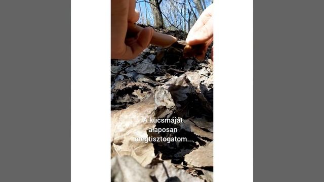 Cseh kucsmagomba begyűjtés... смотреть онлайн