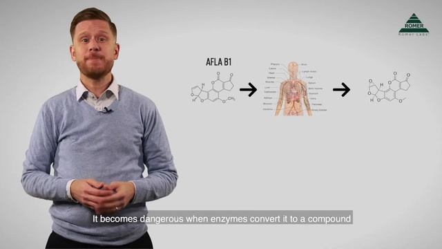 Mycotoxin Minute 93 – What Makes Aflatoxin B1 So Dangerous? смотреть онлайн
