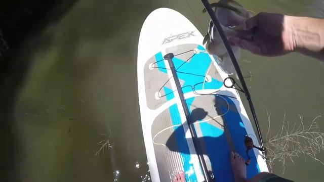 Paddleboard Bass Fishing Challenge (4 Pounder!) смотреть онлайн