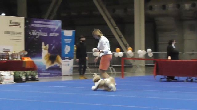 01528 смотреть онлайн