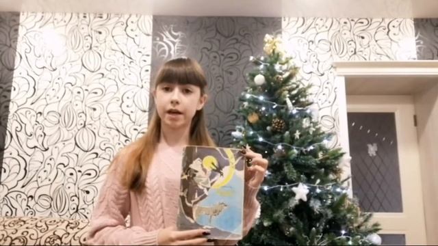 Новогодняя книжная полка Ева Белкина