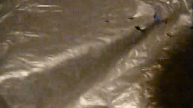 Mouse Hunt смотреть онлайн