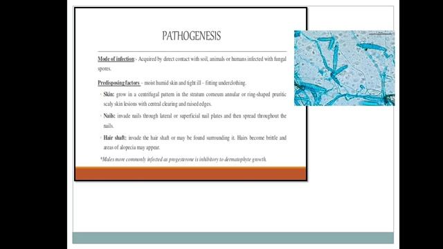 Asst.Prof.P.K.Gakkhad: Study of following pathogen w.r.t.:(SYBSc Microbiology MB211) Lec:20 смотреть онлайн