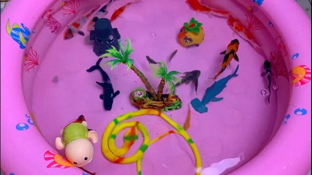 Cute Animals, Koi, Goldfish, Clown Fish, Dory, Sperm Whale, Killer Whale, Shark, Snake, Frog, Duck смотреть онлайн