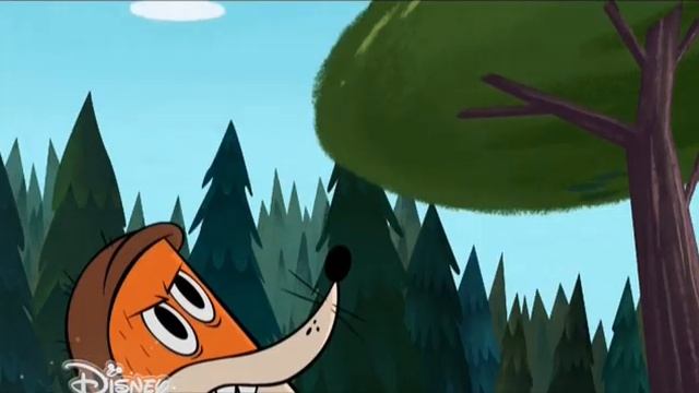 Зип Зип 31  Лови!