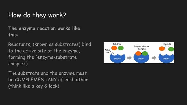 Enzymes смотреть онлайн