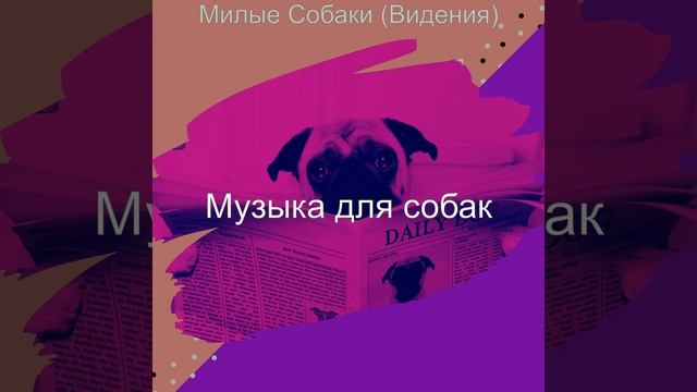 Мечты (Милые Собаки) смотреть онлайн