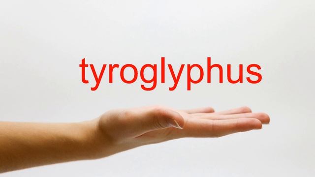 How to Pronounce tyroglyphus - American English смотреть онлайн