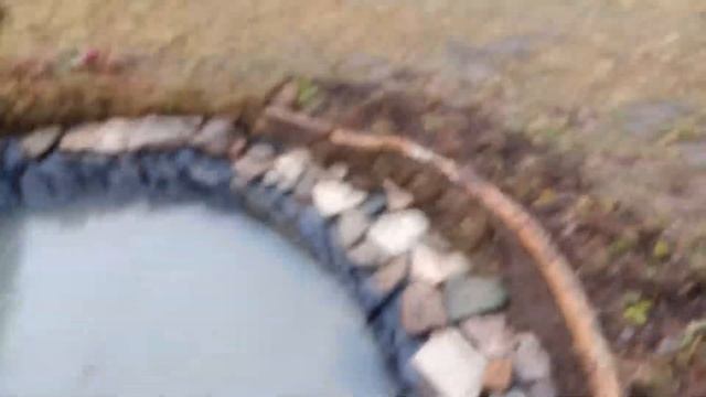 Телепортация прудика.  И снова гости в нашей сказке!