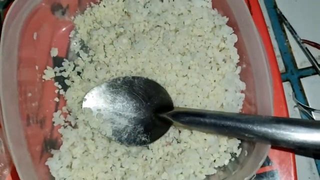 HOW TO MAKE KOJI KIN ASPERGUILLUS ORYZAE смотреть онлайн