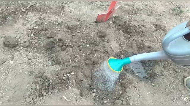 Деревенская жизнь 🐔 смотреть онлайн