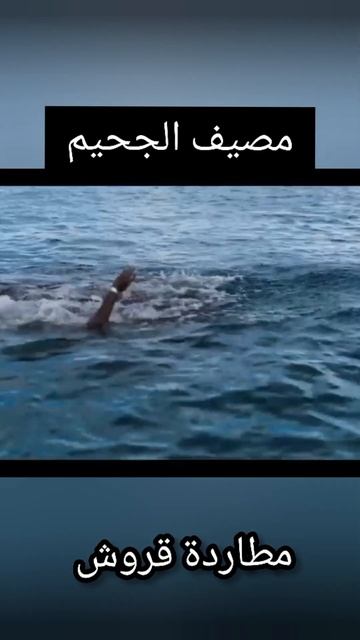 رحلة مصيف تتحول لجحيم смотреть онлайн
