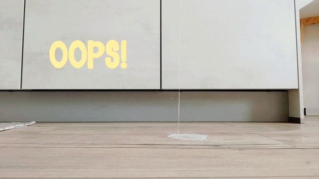 Na podlahu s elektrickým mopem EWM 2 смотреть онлайн
