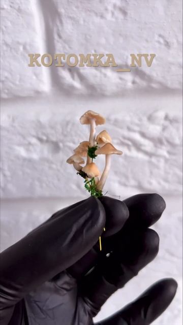 Полимерная глина грибы опята для кукольного домика миниатюра машрумкор #dollhouseminiatures #shorts