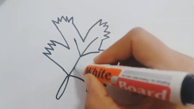 Drawing Leaves For Children / Bolalar Uchun Barg Chizish