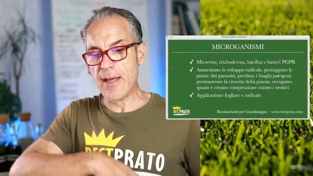 STIMOLANTI PER PRATO / La Guida Completa / BESTPRATO LIVE#186