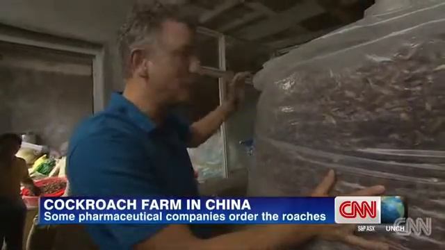 Cockroach farm смотреть онлайн